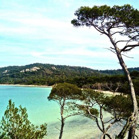 Ile De Porquerolles : T3 Climatise Vue Mer Eksteriør billede