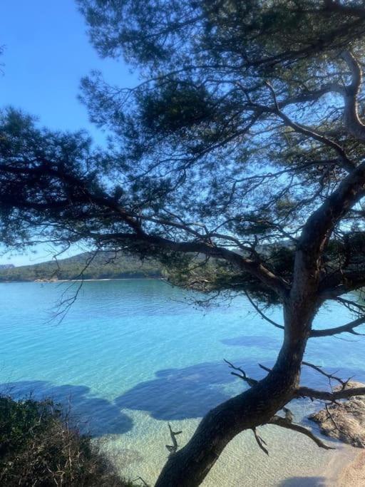 Ile De Porquerolles : T3 Climatise Vue Mer Eksteriør billede